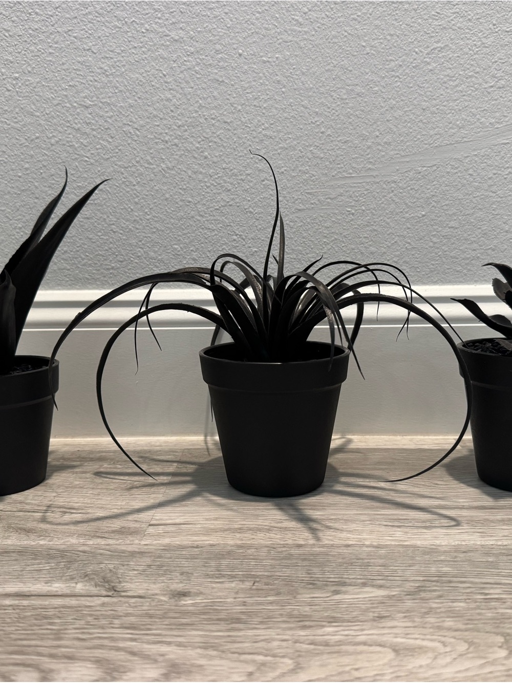 3pc Black Faux Potted Plant - Home Accents